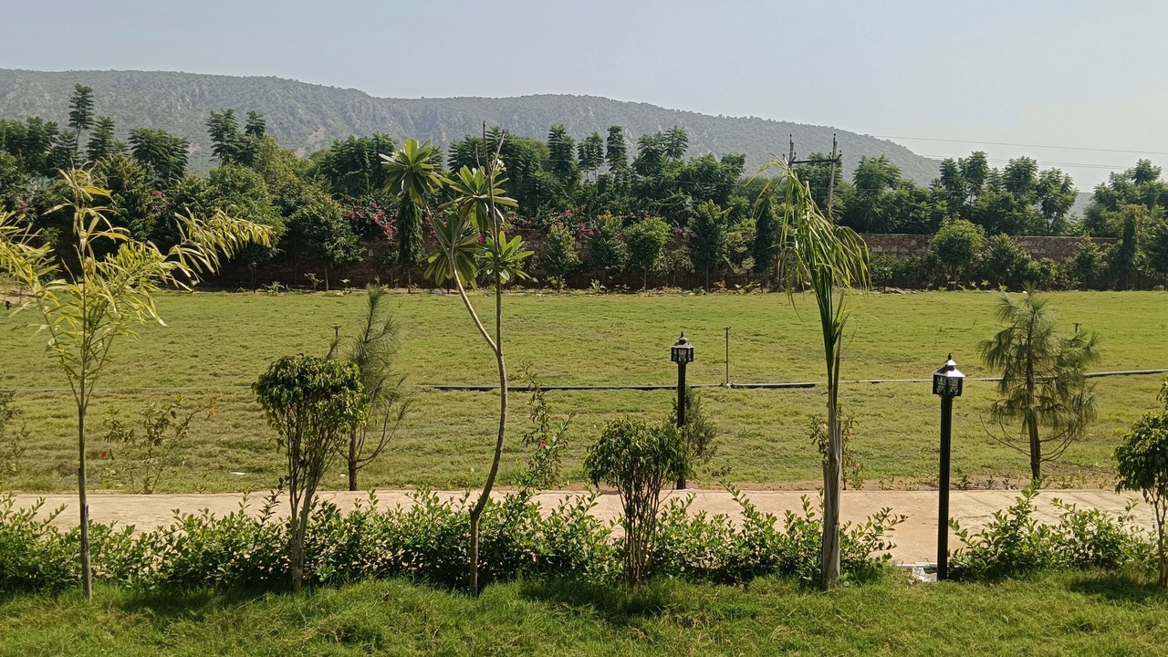 Photo of Others in Thana Gazi