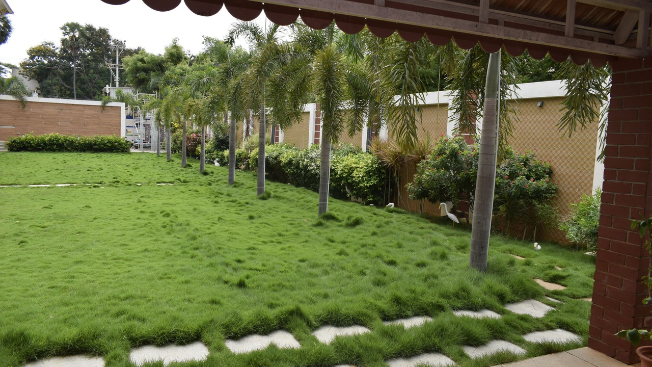Photo of Outdoor in Kalapet
