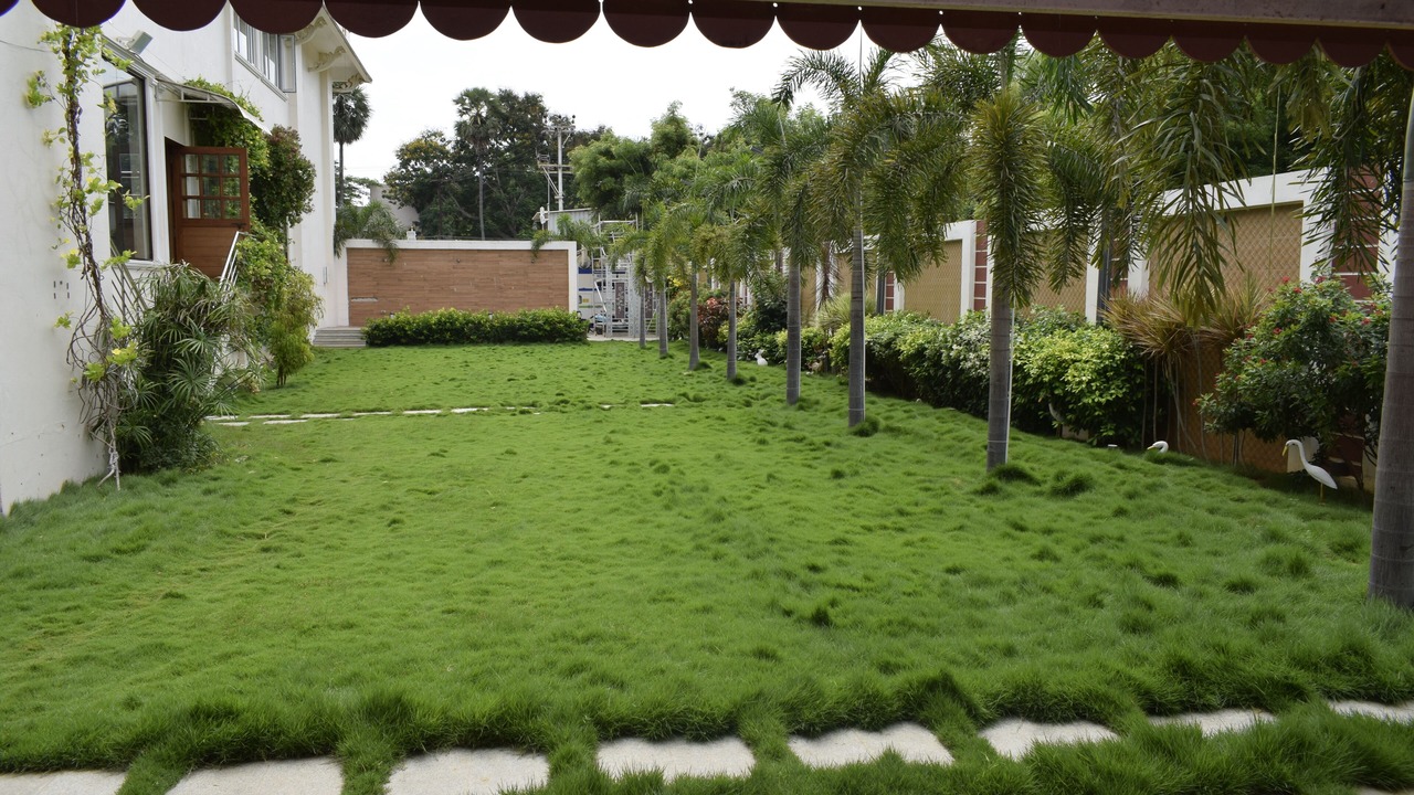 Photo of Outdoor in Kalapet