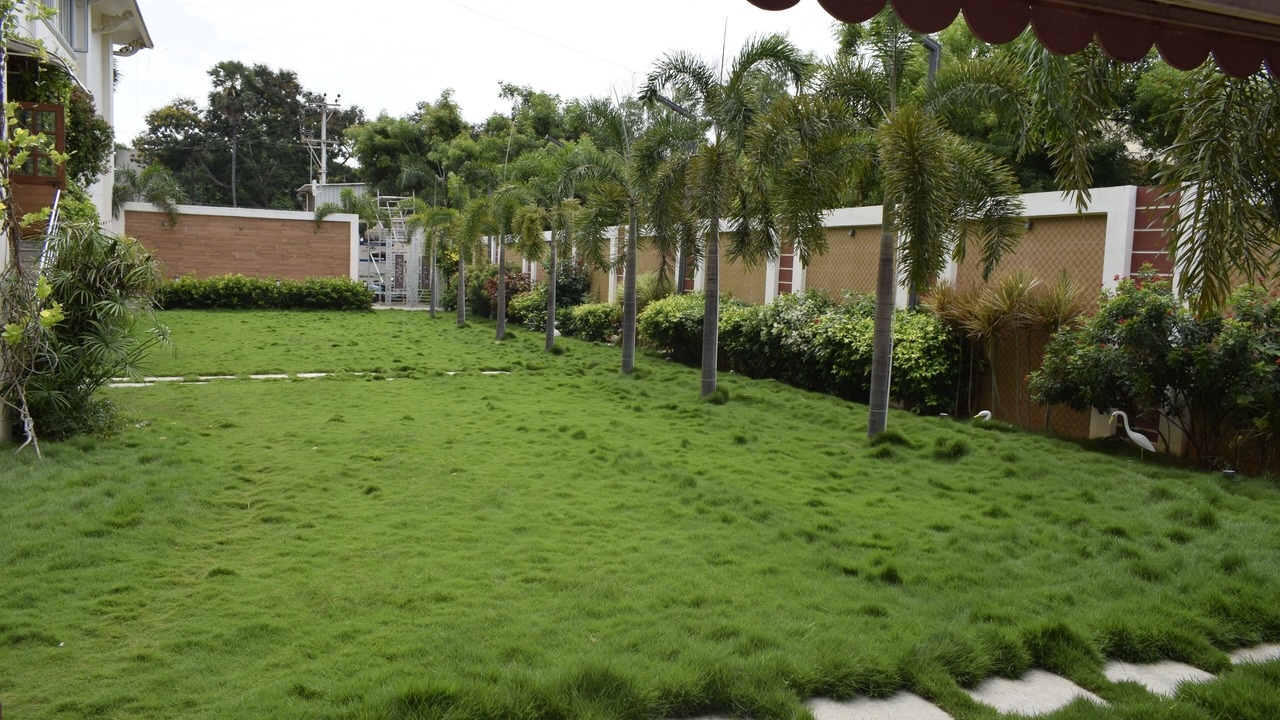 Photo of Outdoor in Kalapet