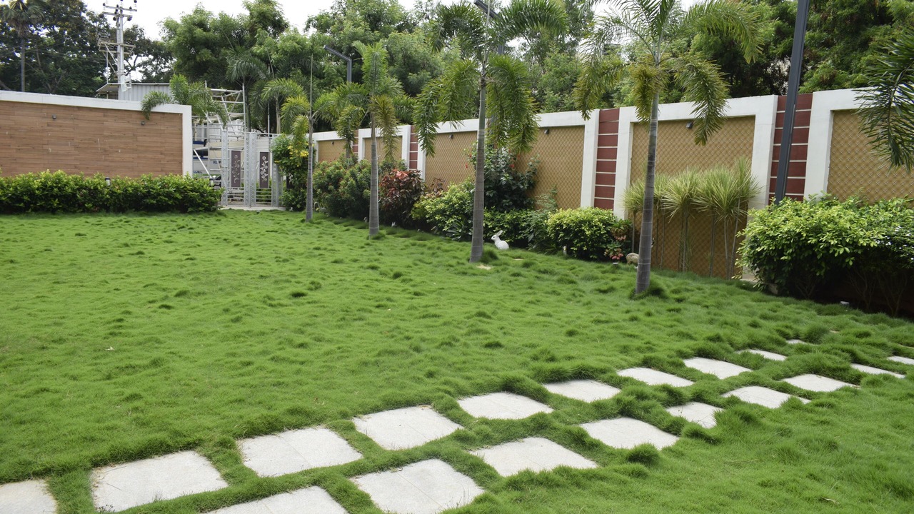 Photo of Outdoor in Kalapet