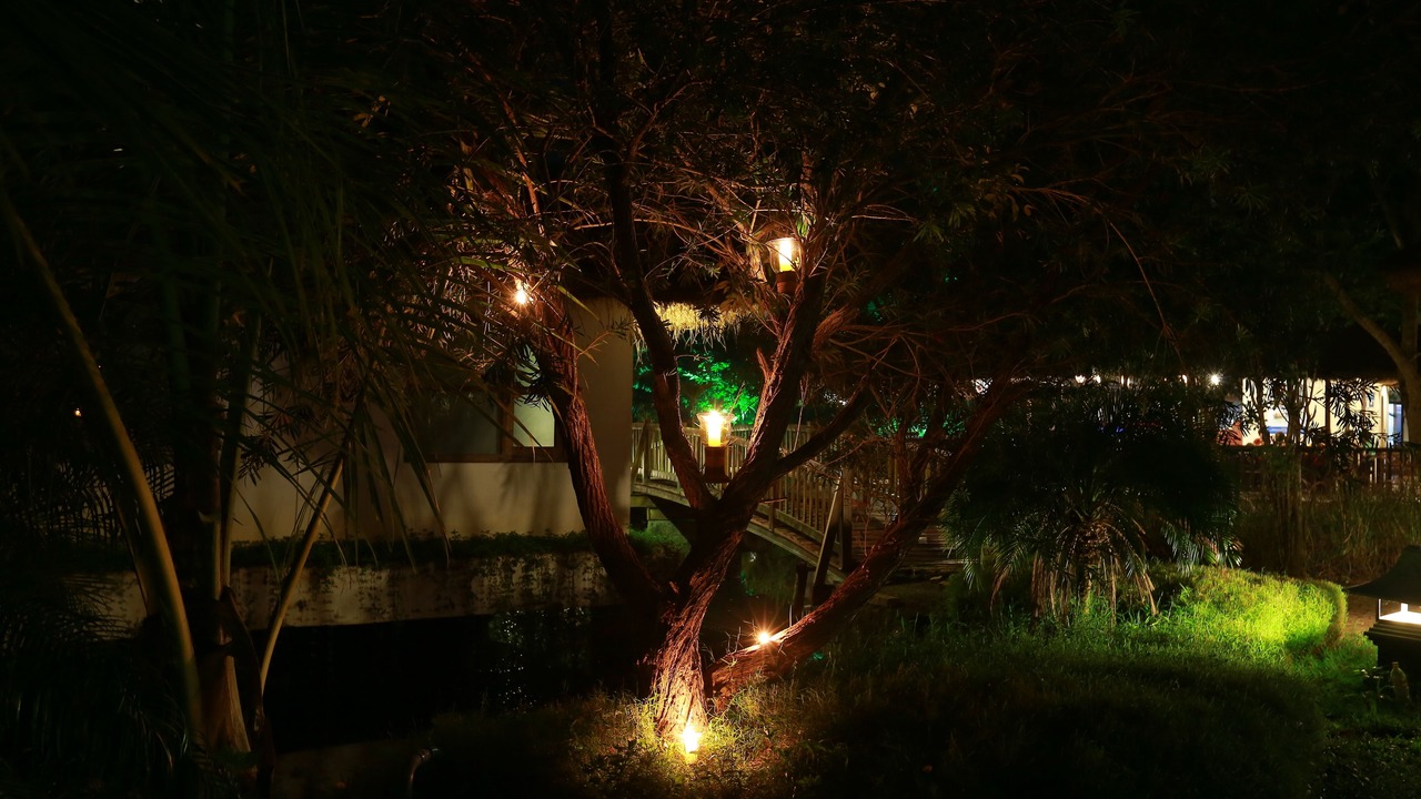 Photo of Outdoor in Muhamma