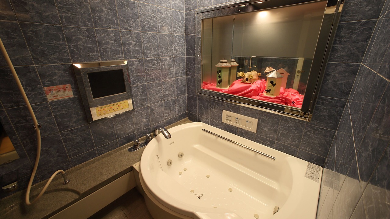 Photo of Bathroom in Fushimi