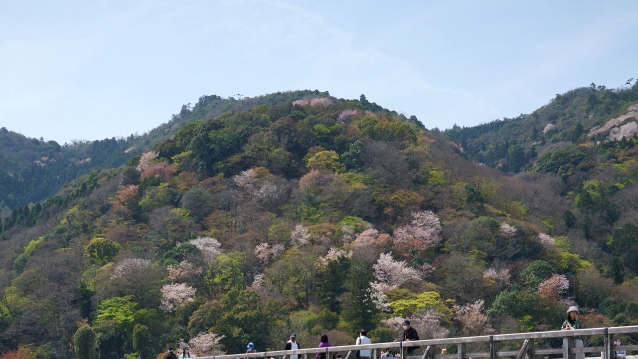 Photo of Others in Arashiyama