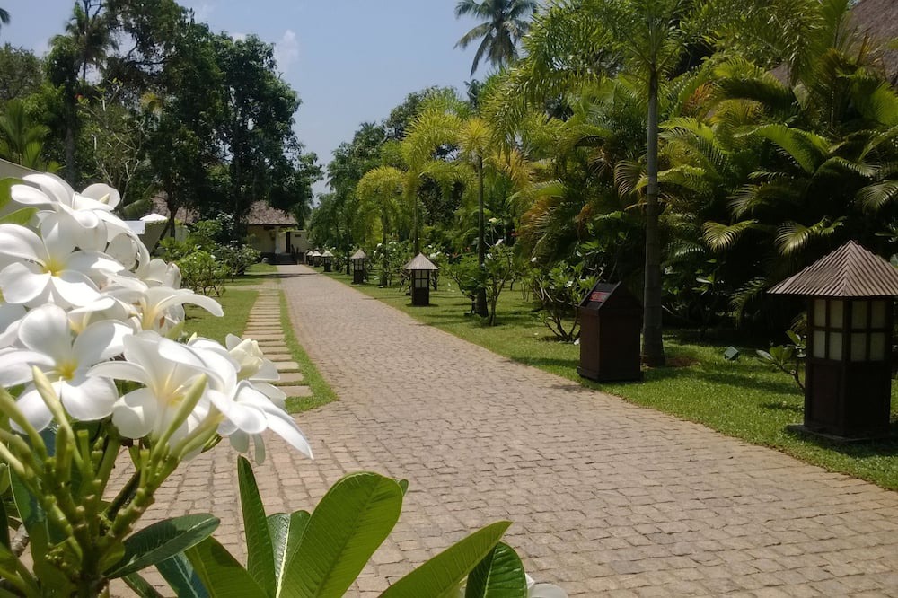 Photo of Outdoor in Mararikkulam North