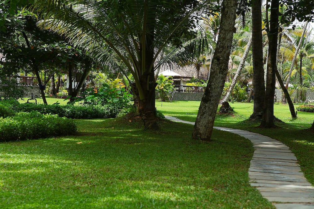 Photo of Outdoor in Mararikkulam North
