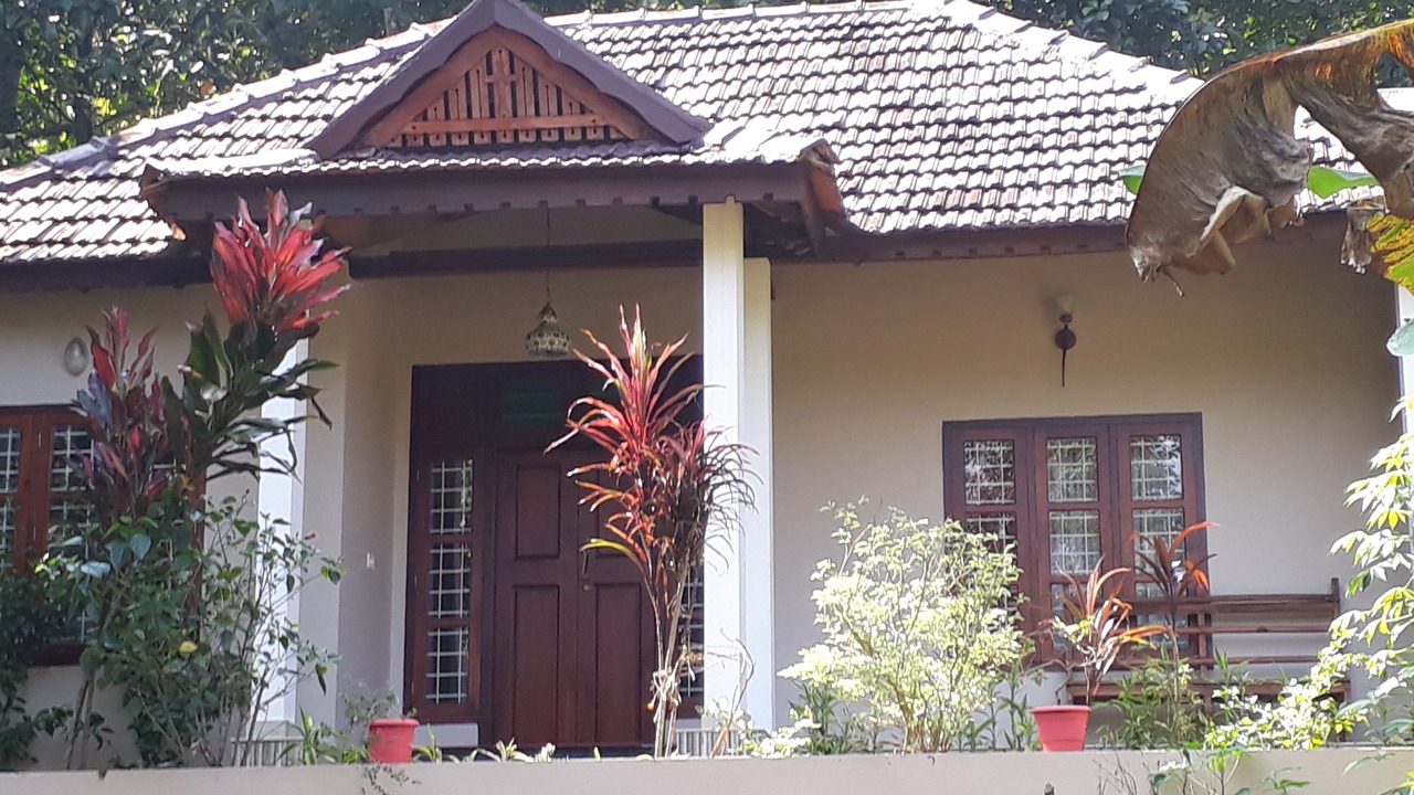 Photo of Others in Elanthoor