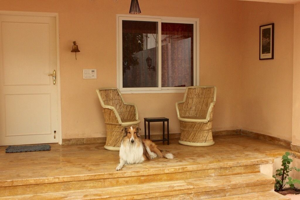 Photo of Patio Balcony in Jaipur