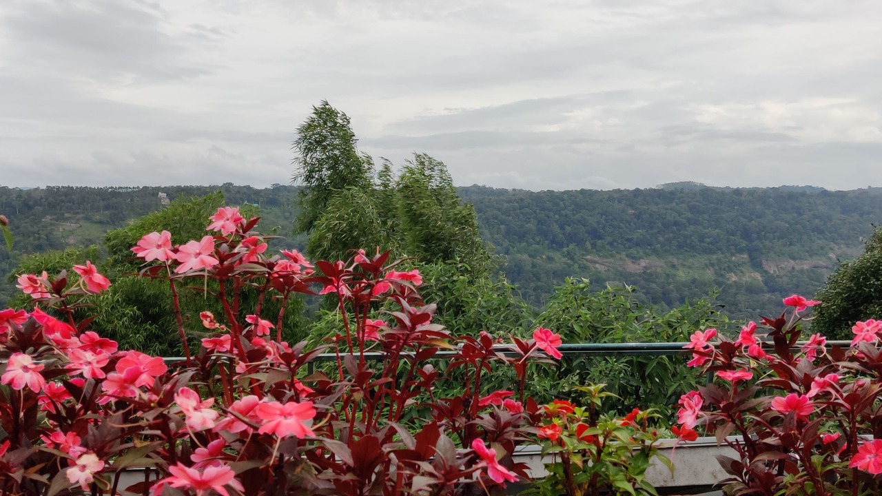 Photo of Outdoor in Udumbanchola