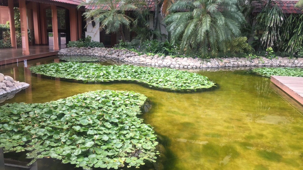 Photo of Outdoor in Anand