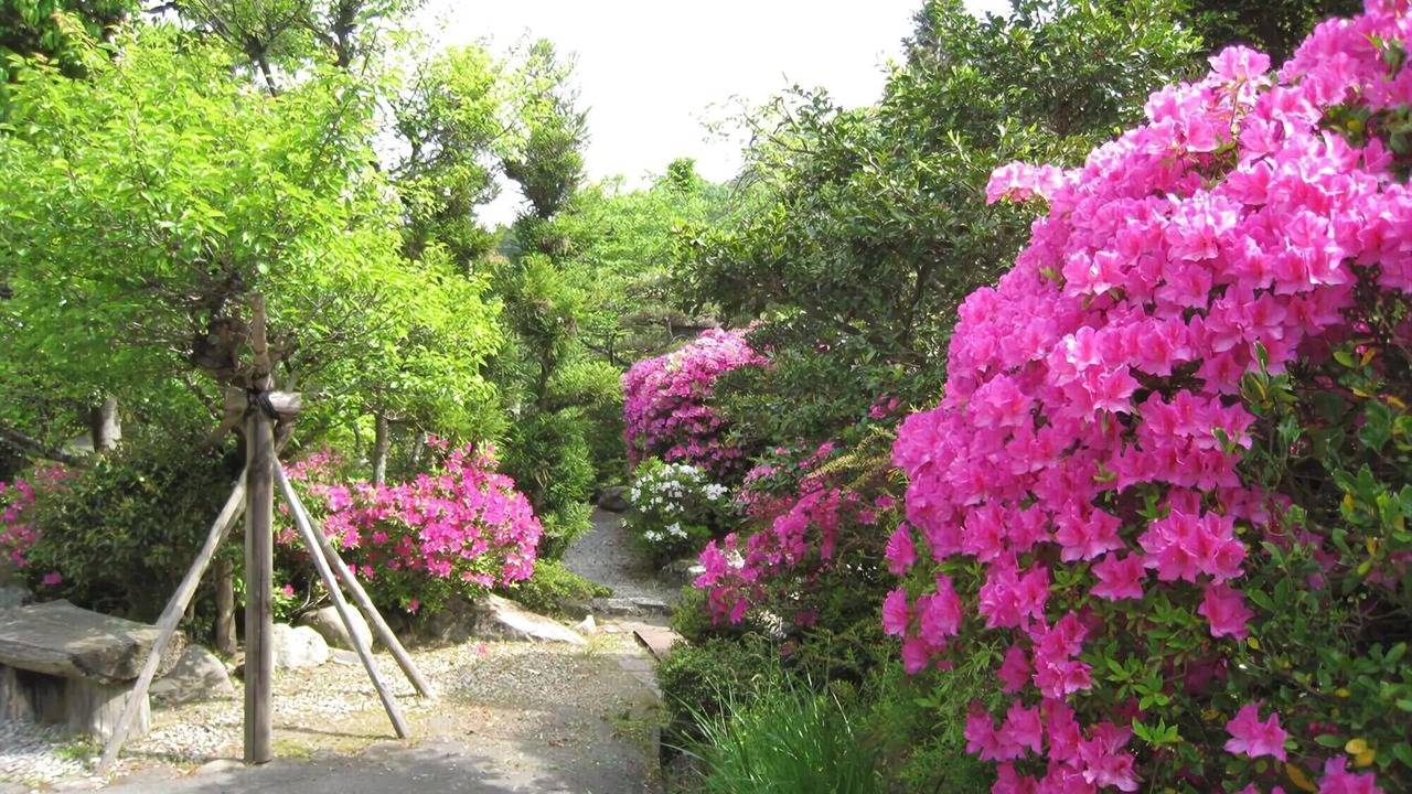 Photo of Outdoor in Kawachinagano