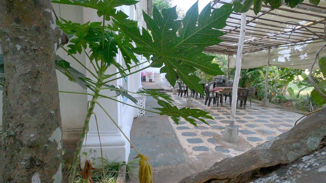 Photo of Outdoor in Grand Morrod