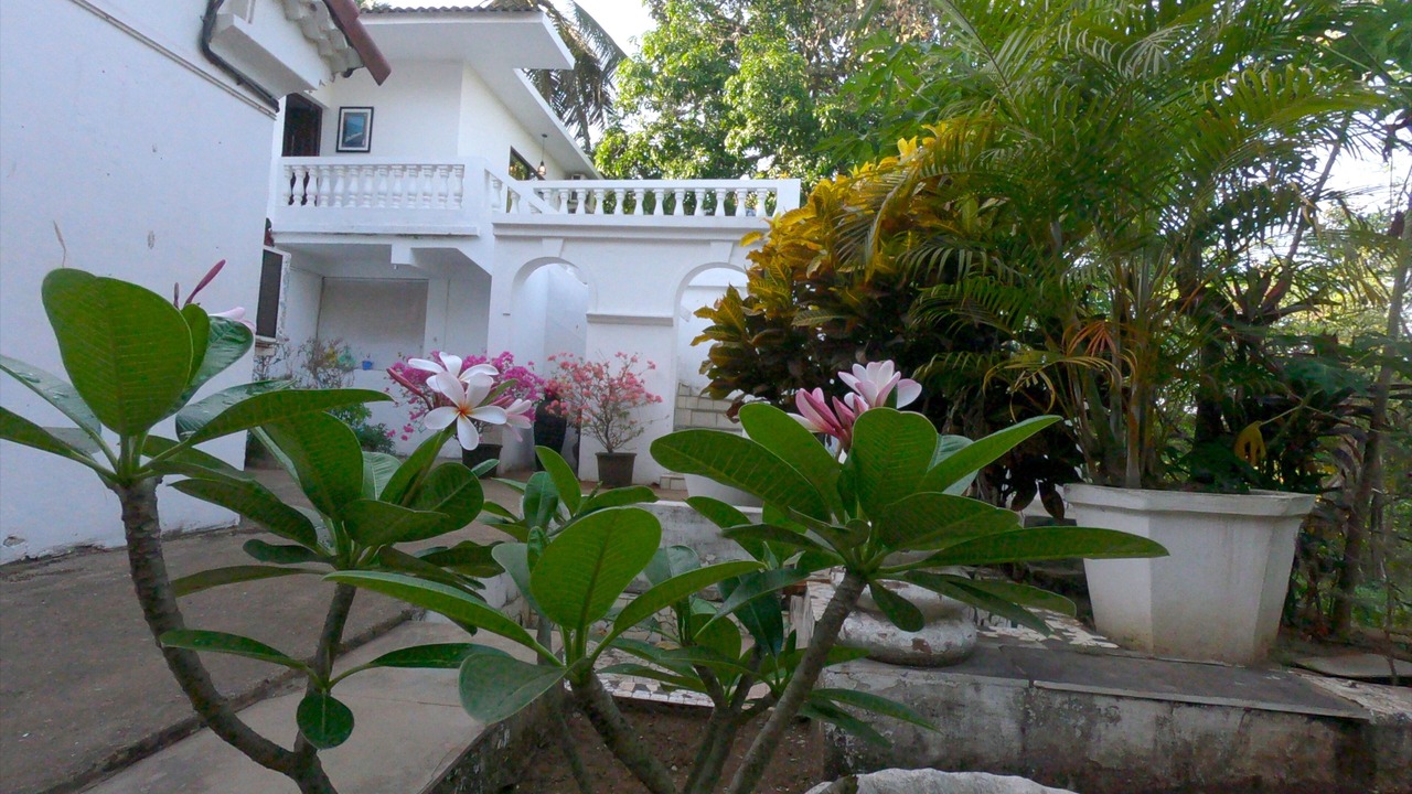 Photo of Outdoor in Grand Morrod
