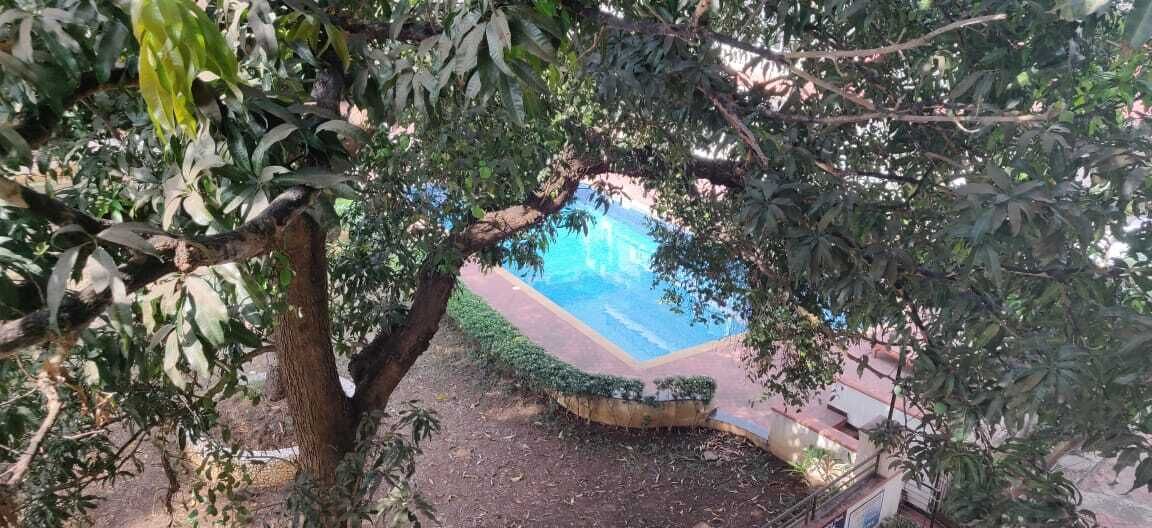 Photo of Outdoor in Colva