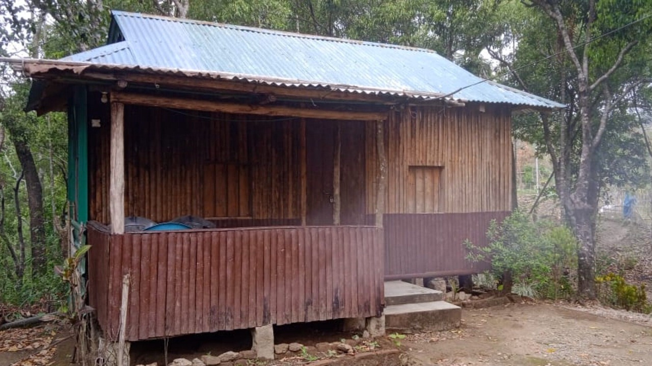 Photo of Outdoor in Mawlynnong