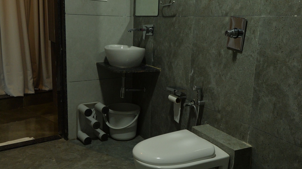 Photo of Bathroom in Rajpipla