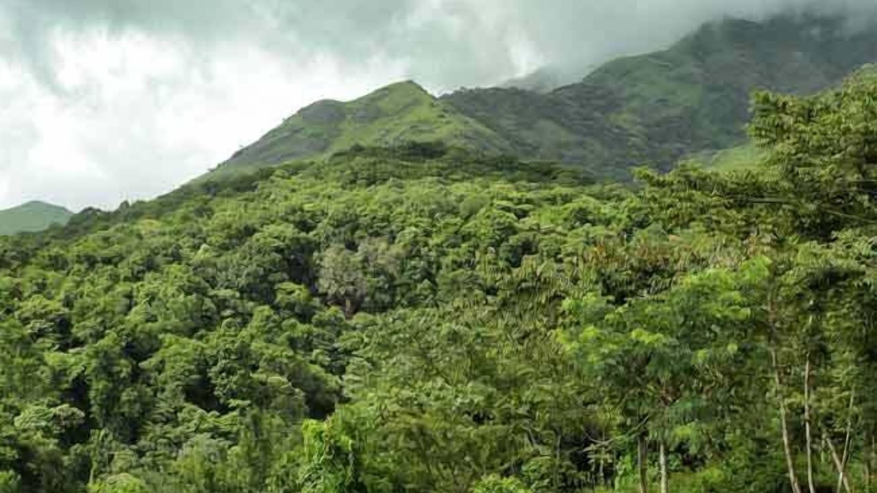 Photo of Others in Vellamunda