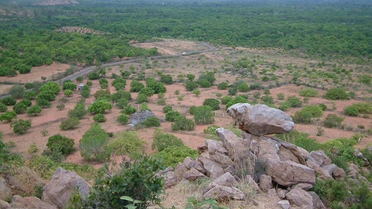 Photo of Others in Saranthangi
