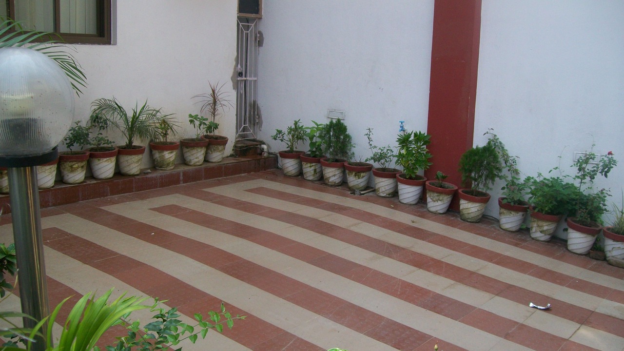 Photo of Outdoor in Gaya
