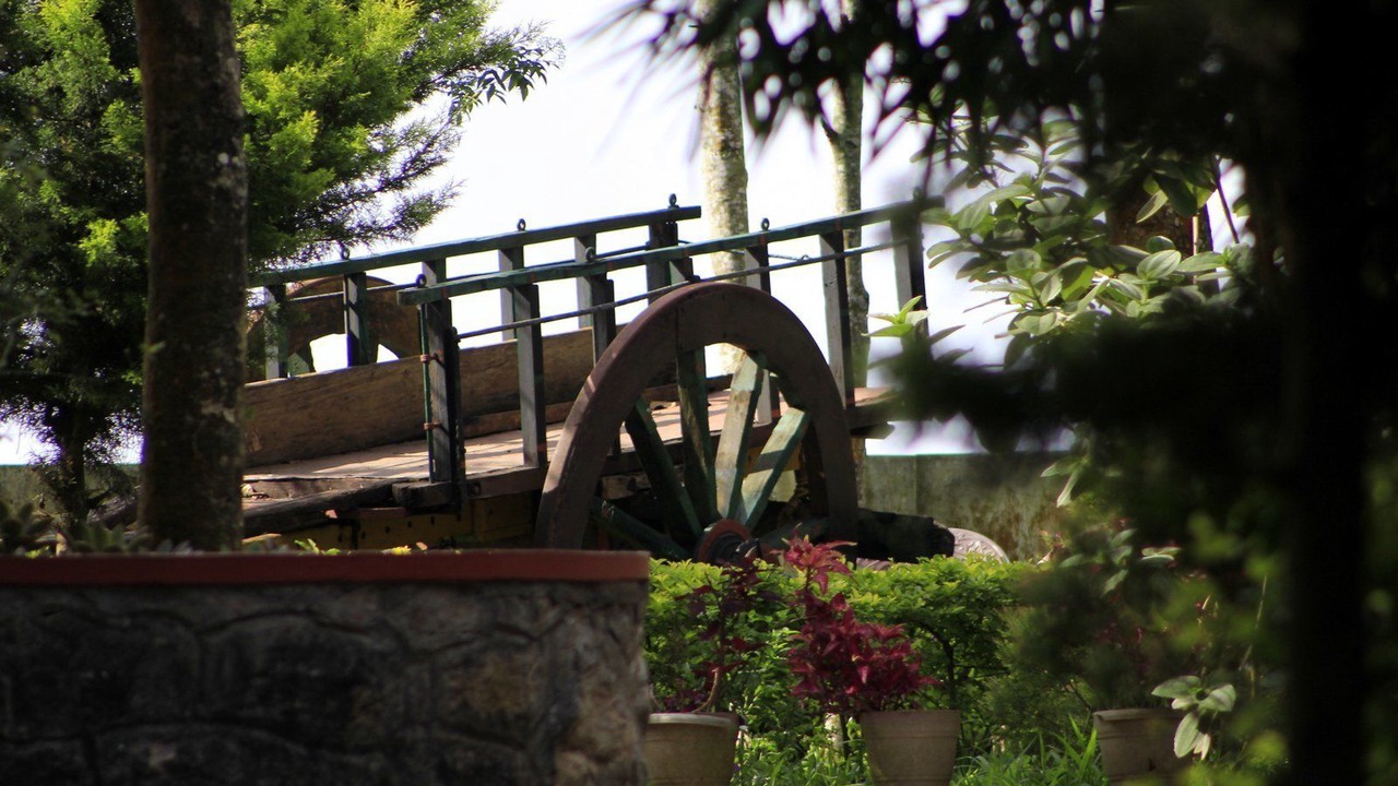 Photo of Others in Chellarcovil