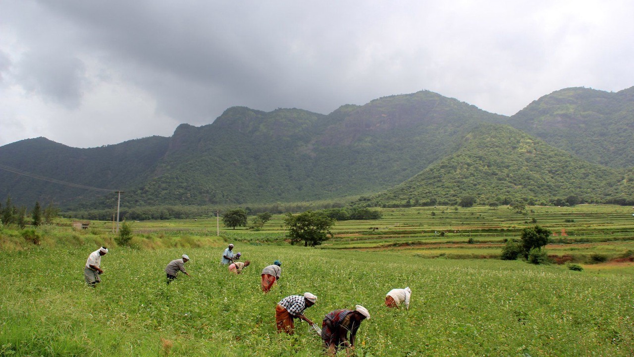 Photo of Outdoor in Chellarcovil