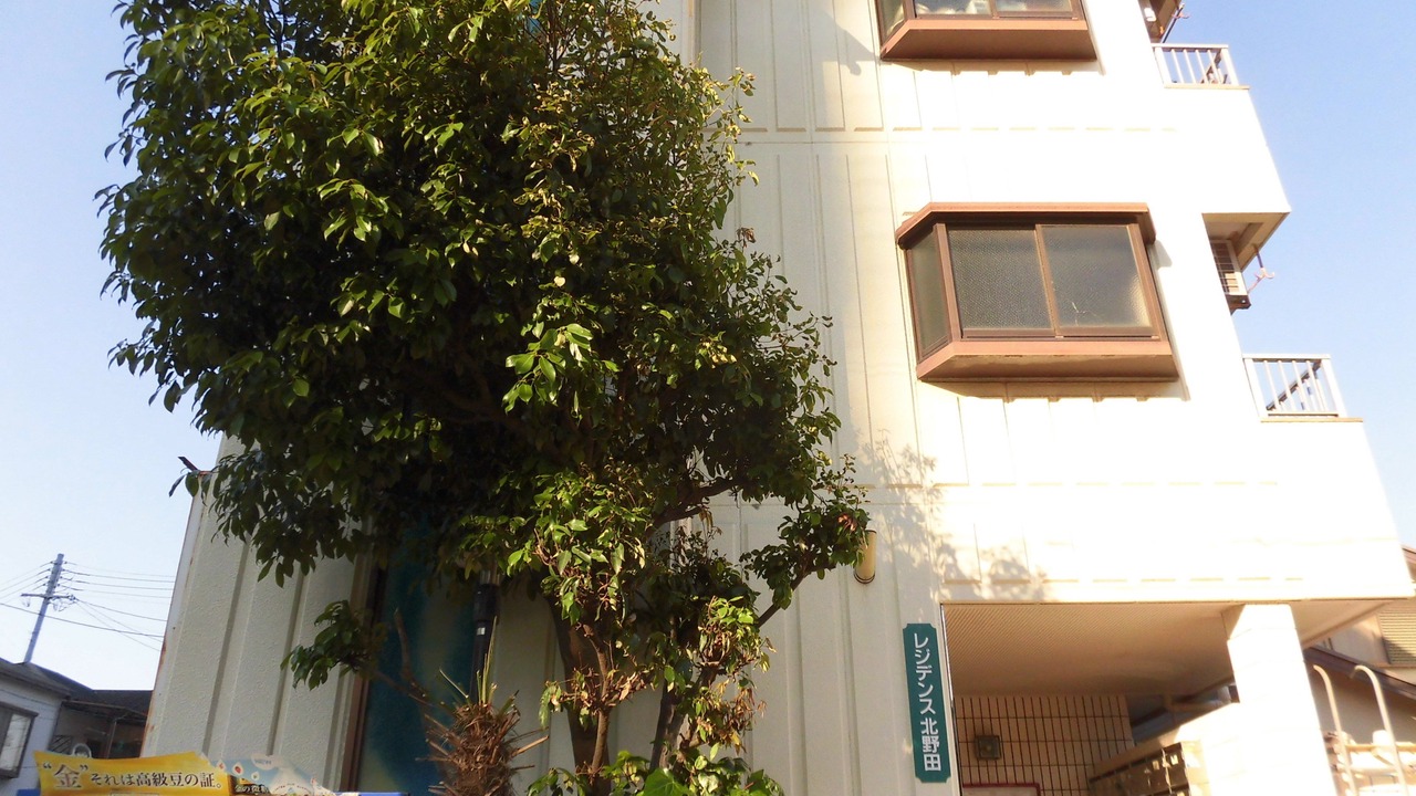 Photo of Others in Higashi Ward