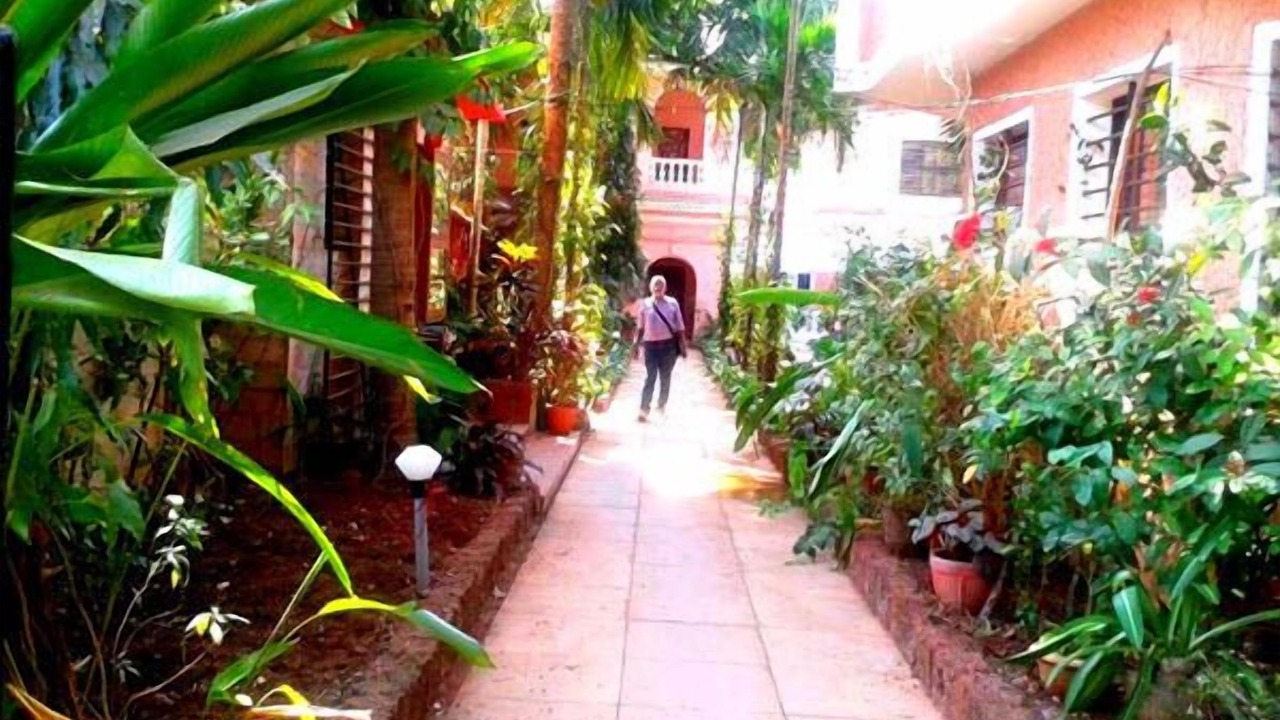 Photo of Outdoor in Anjuna