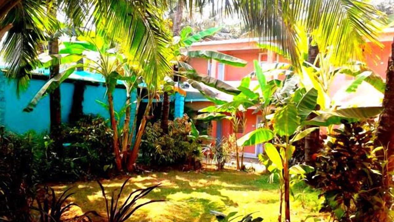 Photo of Outdoor in Anjuna