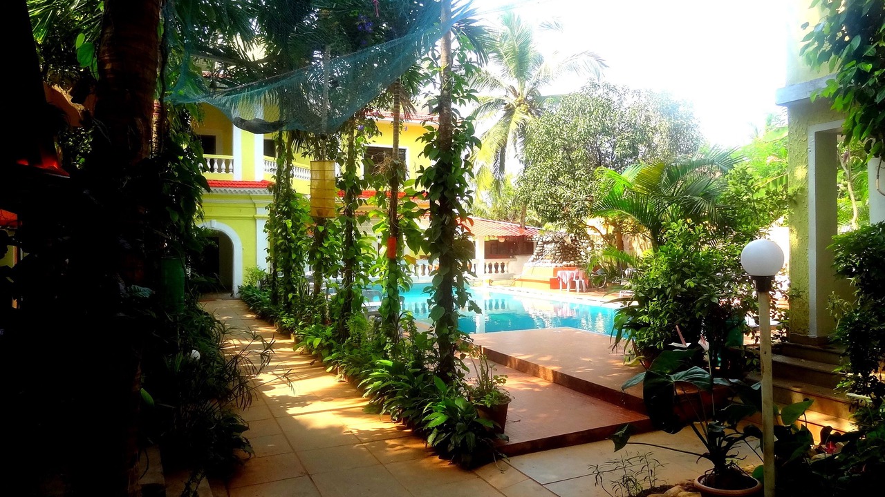 Photo of Outdoor in Anjuna