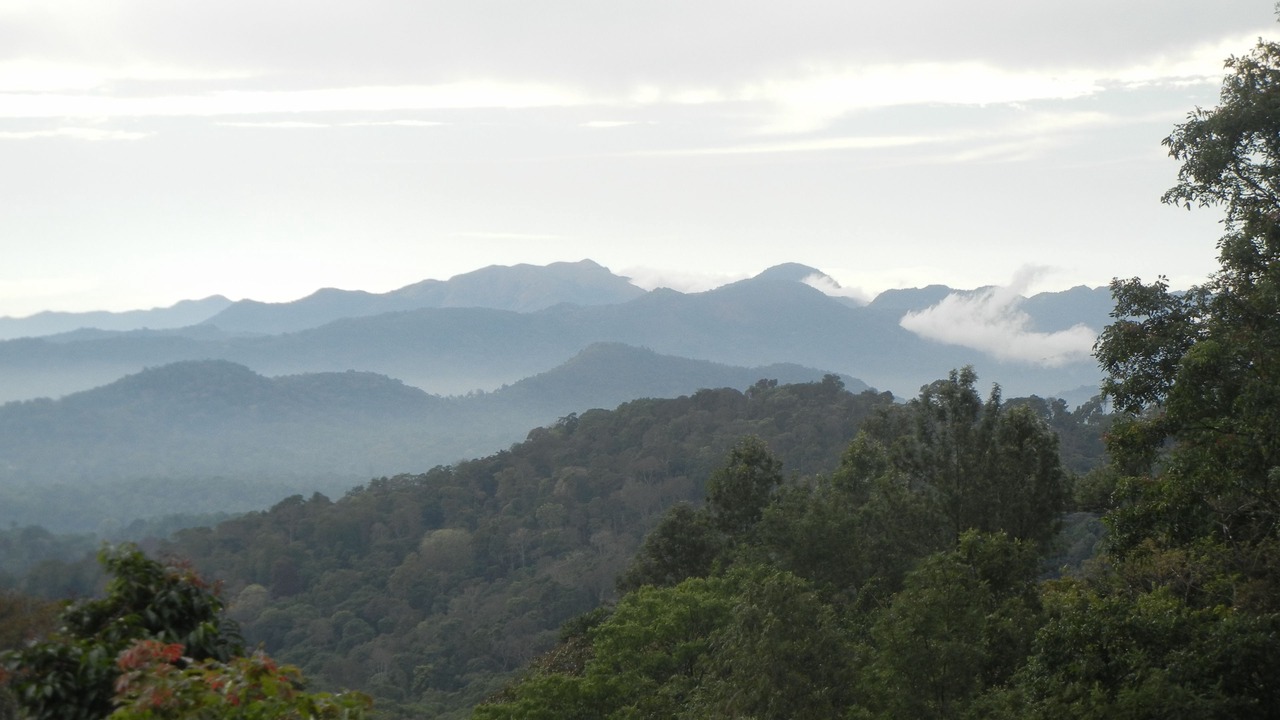 Photo of Others in Madikeri