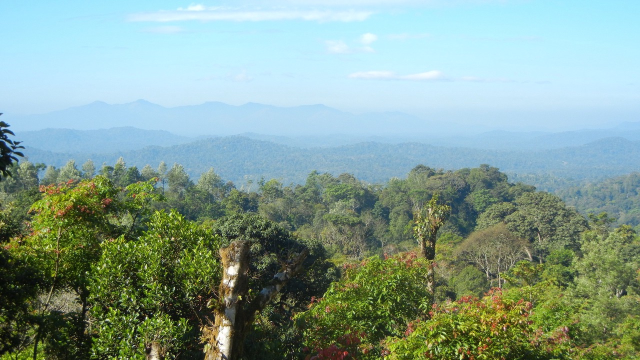 Photo of Others in Madikeri