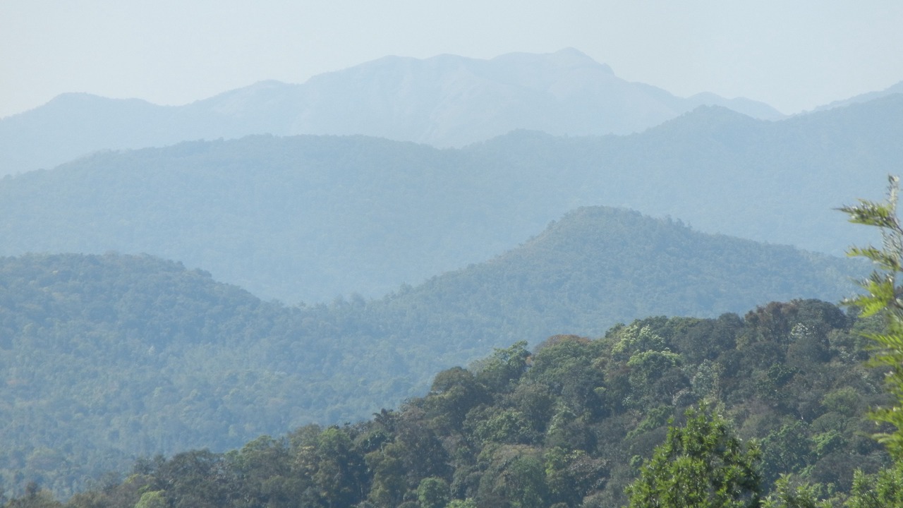 Photo of Others in Madikeri
