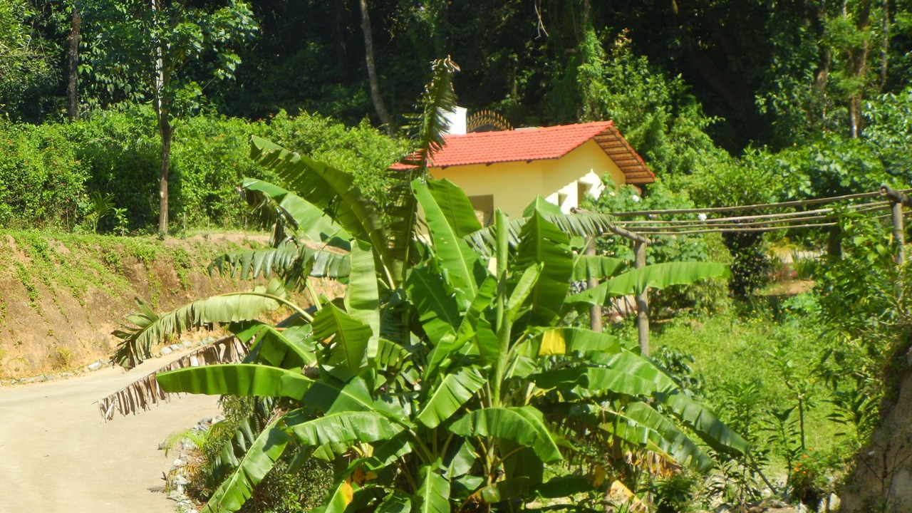 Photo of Outdoor in Madikeri