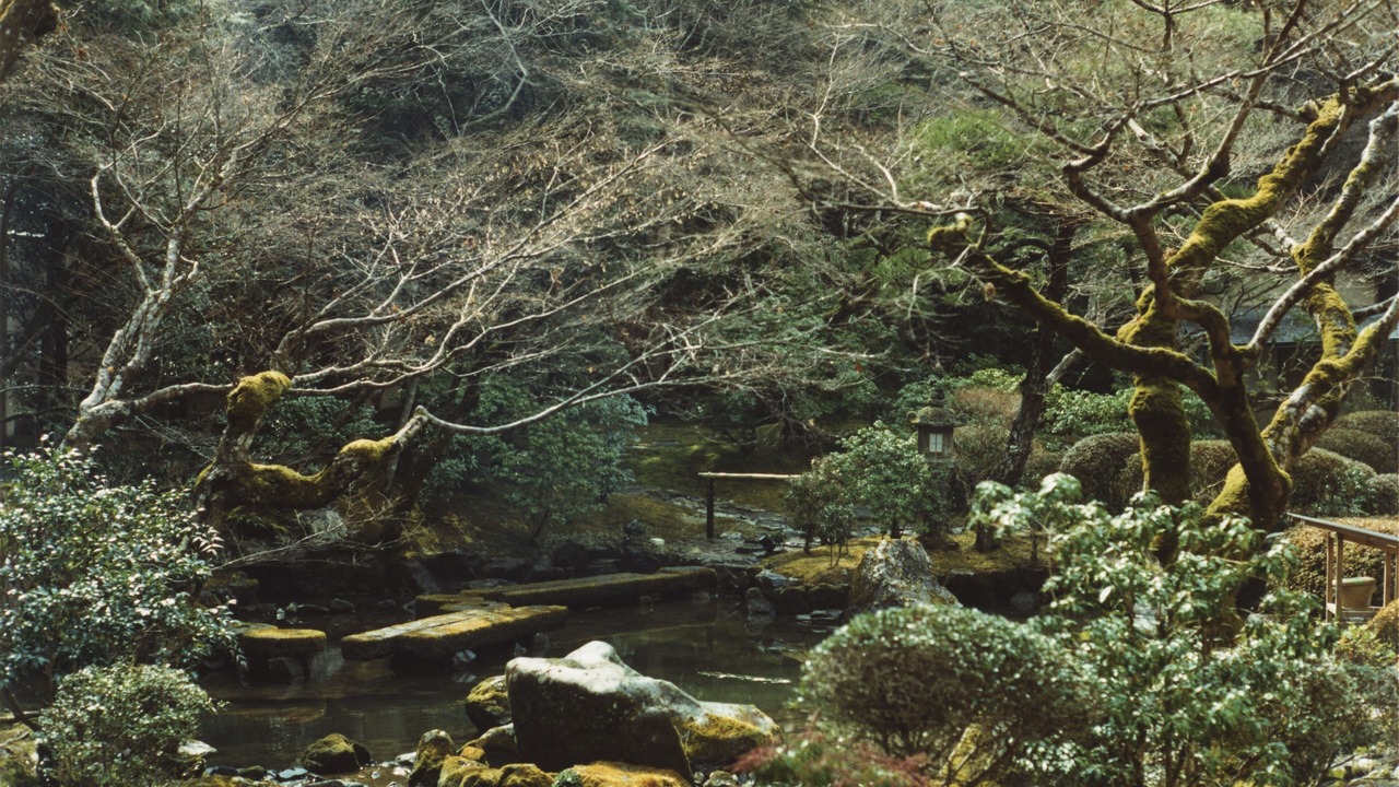 Photo of Outdoor in Sakyo Ward