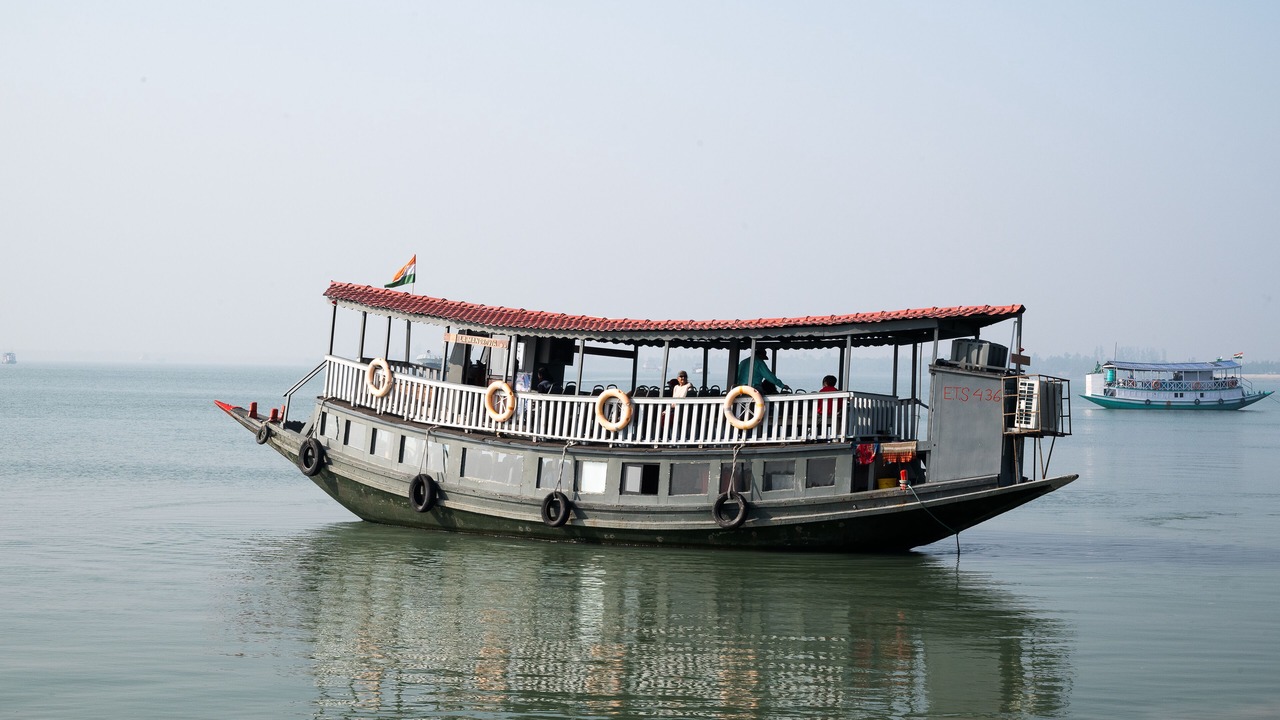 Photo of Others in Sundarban