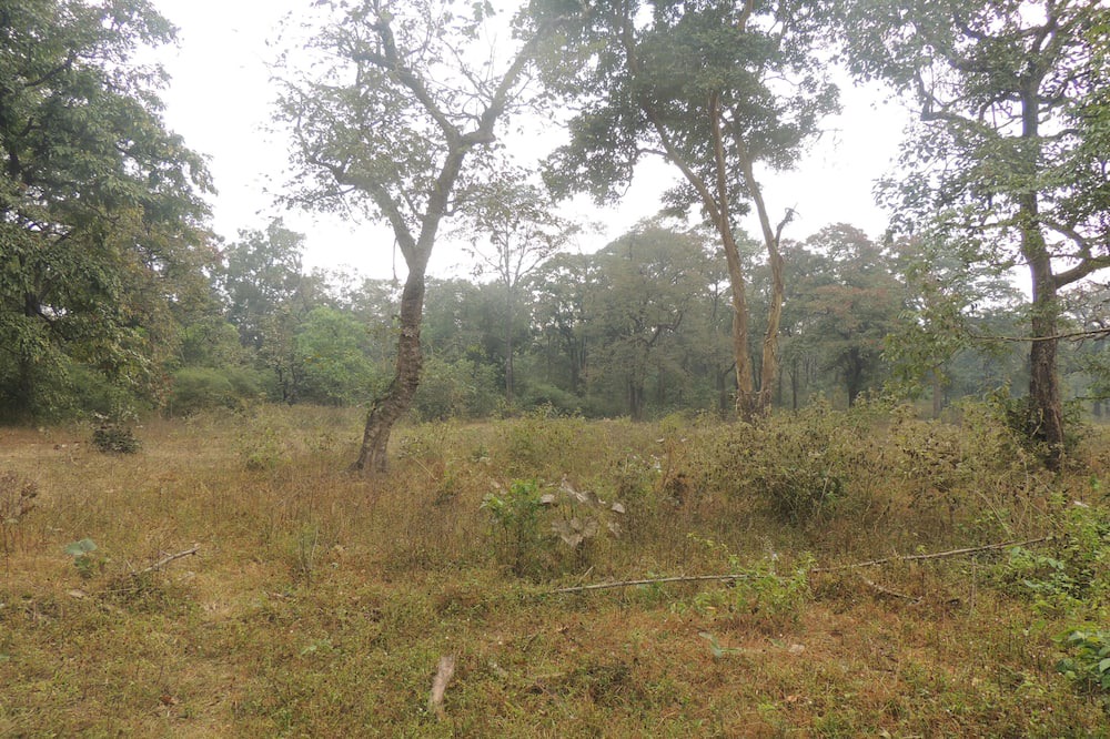 Photo of Outdoor in Timbholi