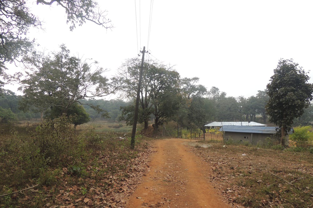 Photo of Outdoor in Timbholi