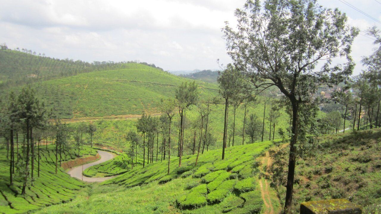 Photo of Others in Elappara