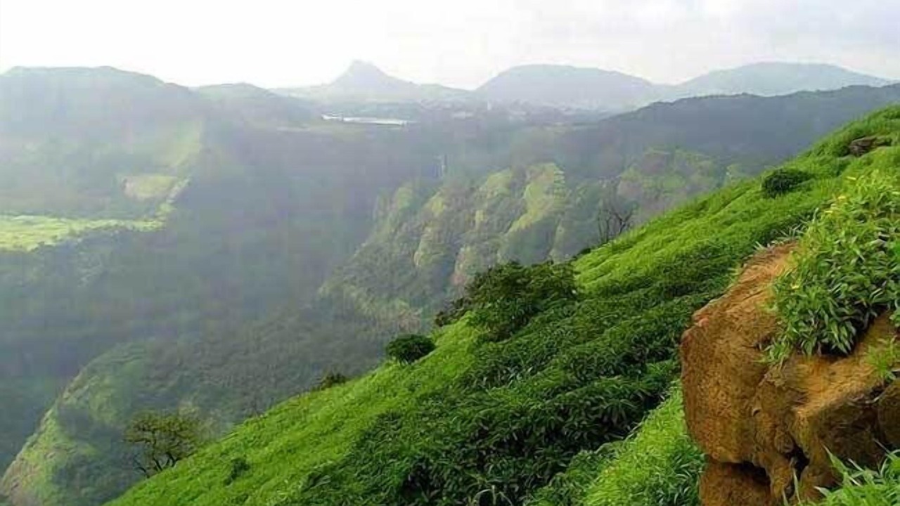 Photo of Others in Elappara