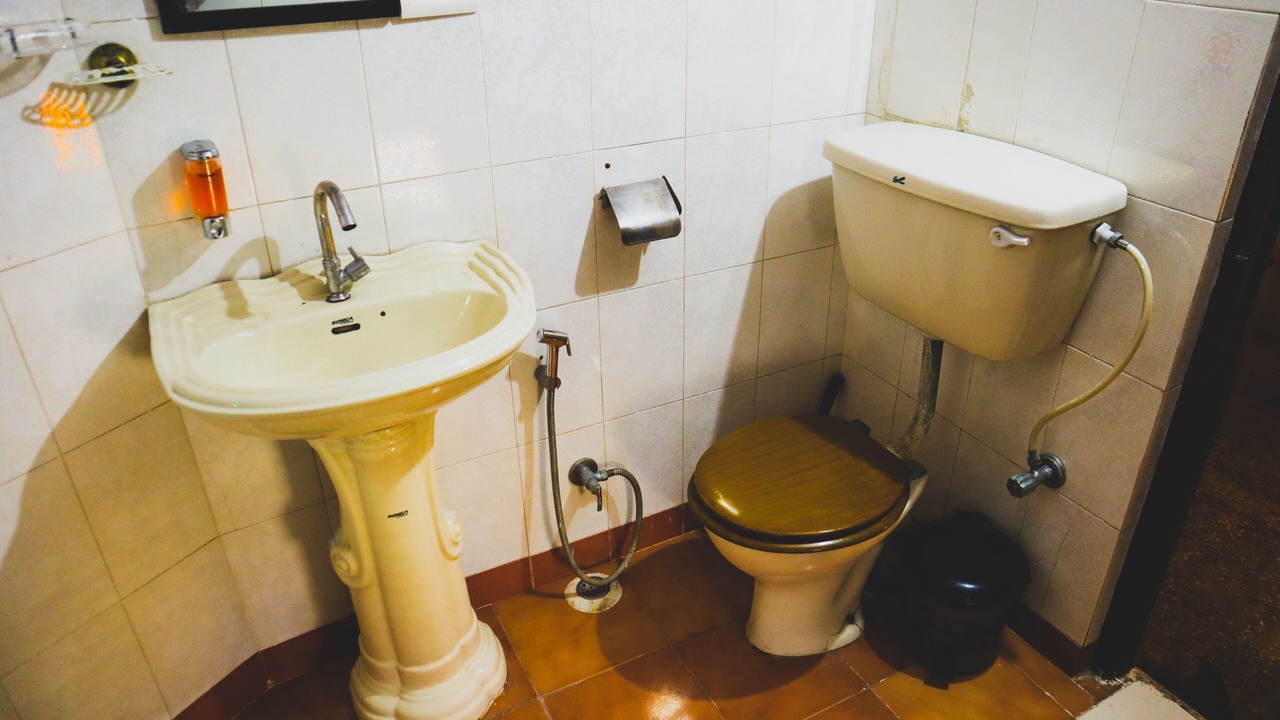 Photo of Bathroom in Udaipur District
