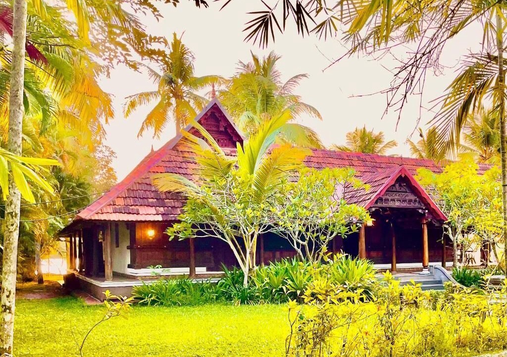Photo of Outdoor in Vayalar