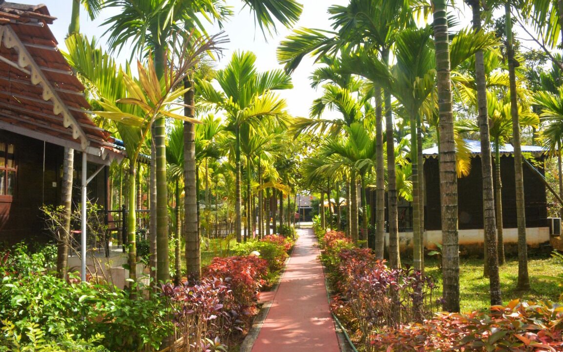 Photo of Outdoor in Cavelossim