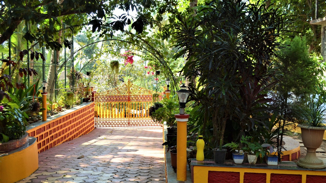 Photo of Outdoor in Shiroda