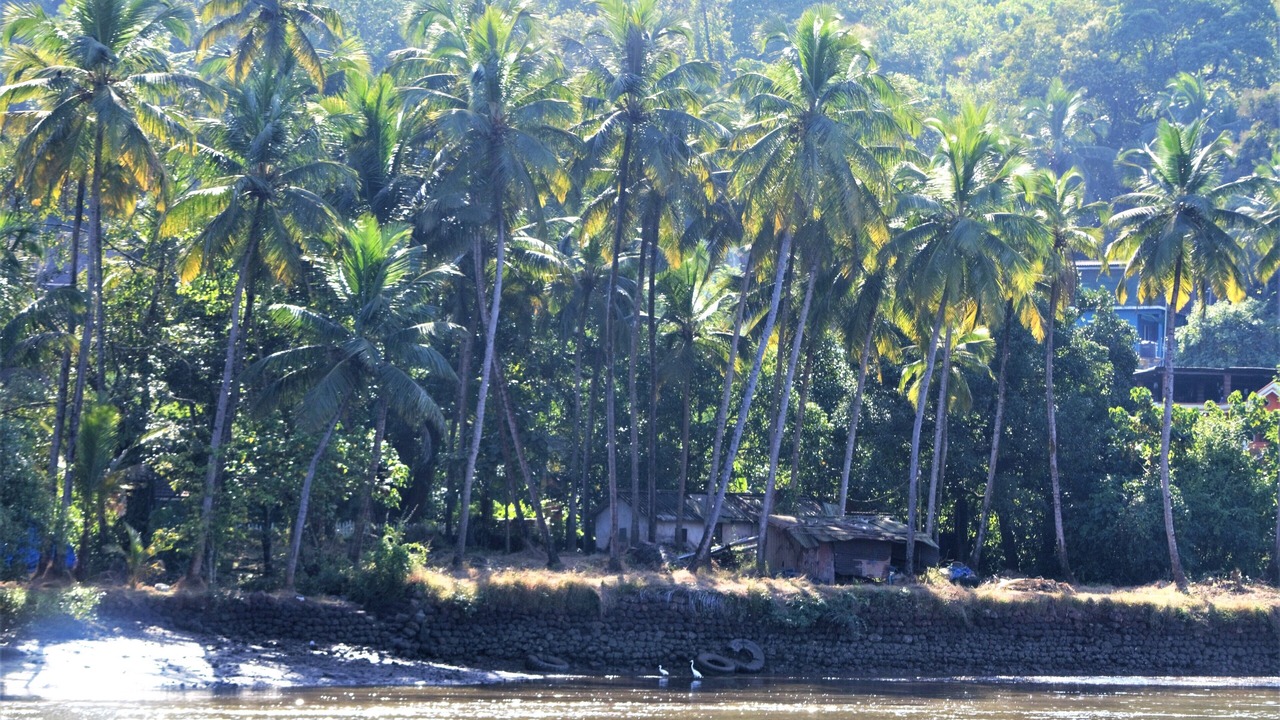 Photo of Others in Shiroda