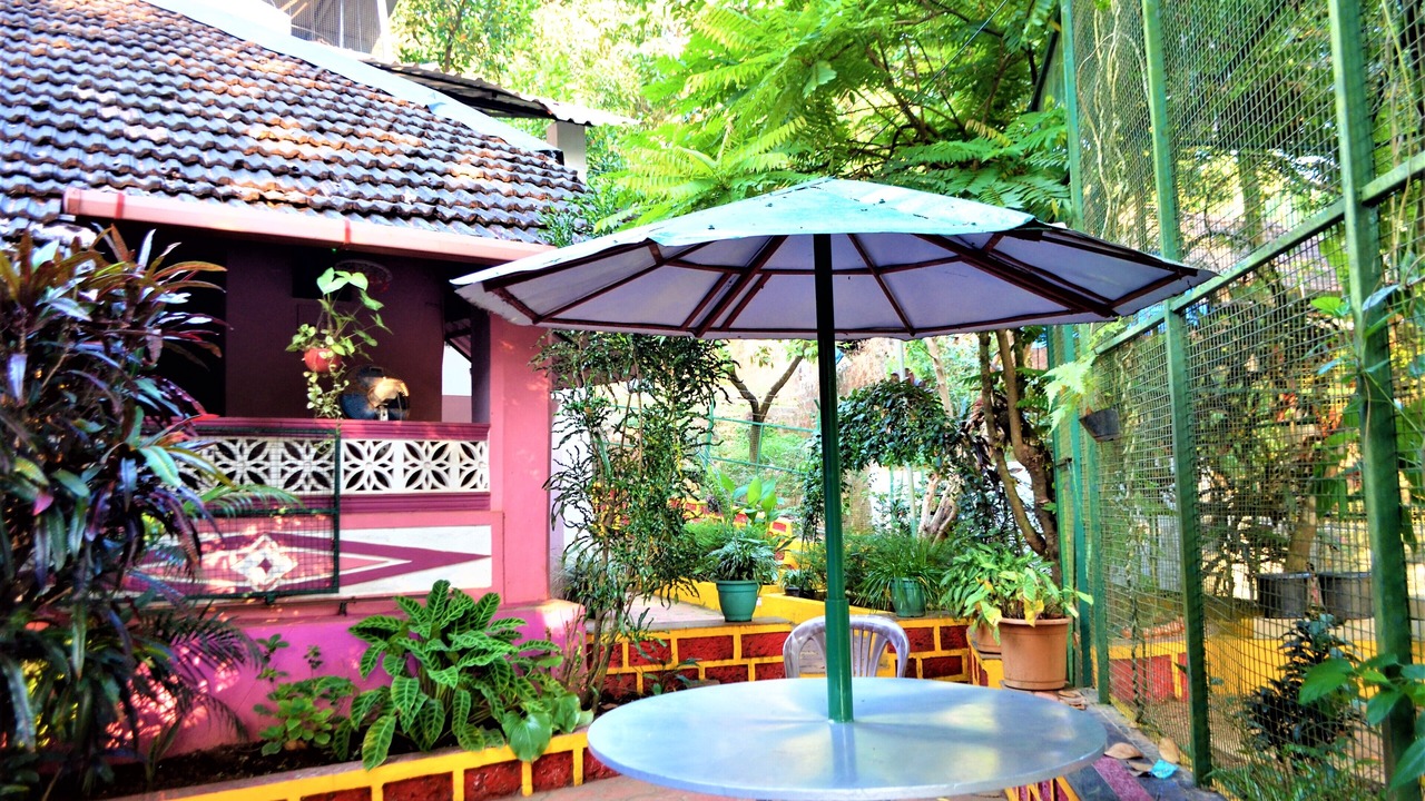 Photo of Outdoor in Shiroda
