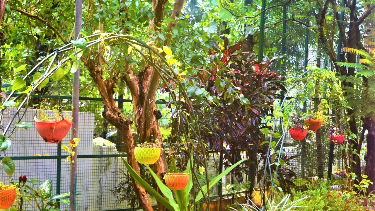 Photo of Outdoor in Shiroda