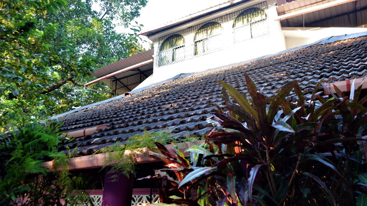 Photo of Outdoor in Shiroda