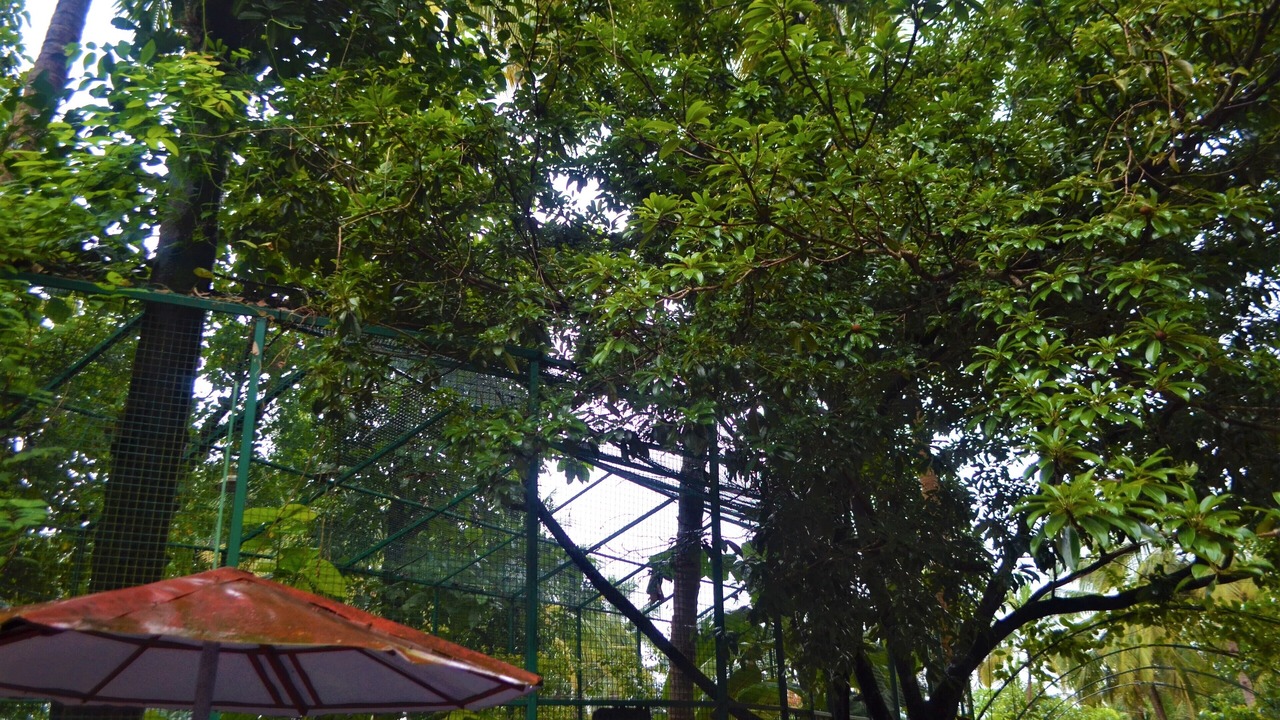 Photo of Outdoor in Shiroda