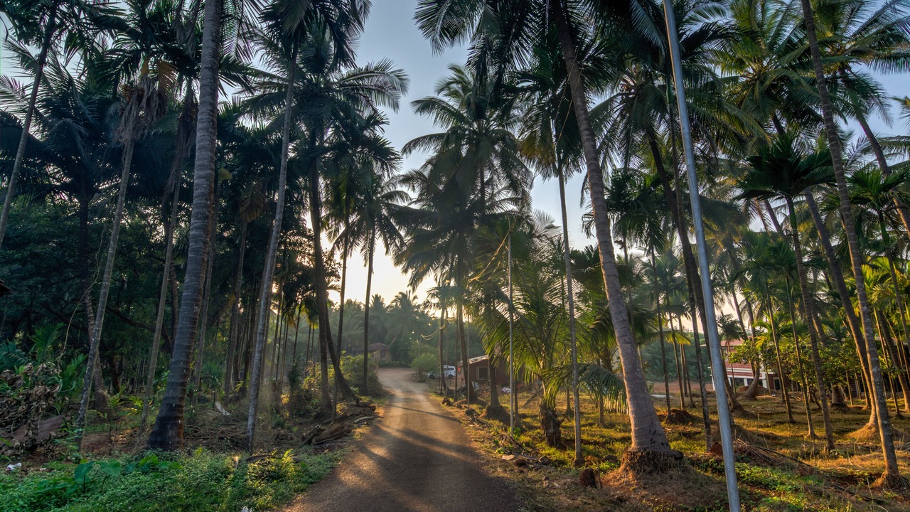 Photo of Outdoor in Guhagar