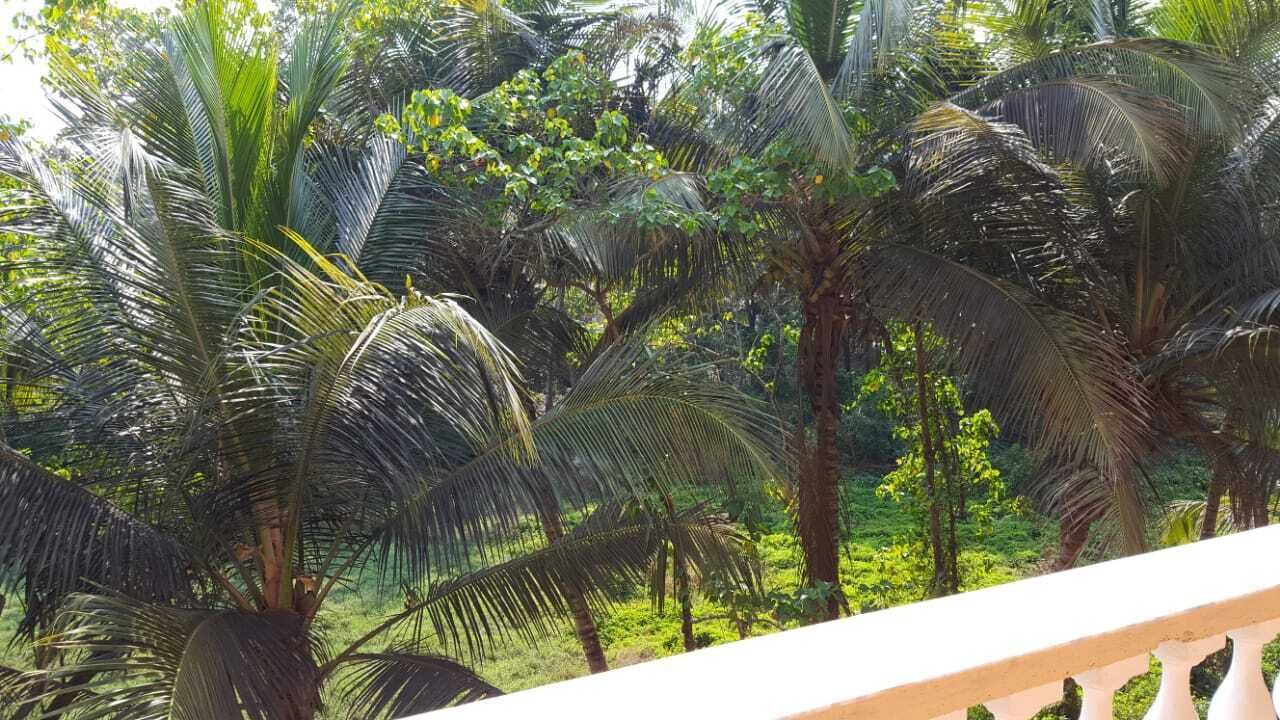 Photo of Outdoor in Fatrade
